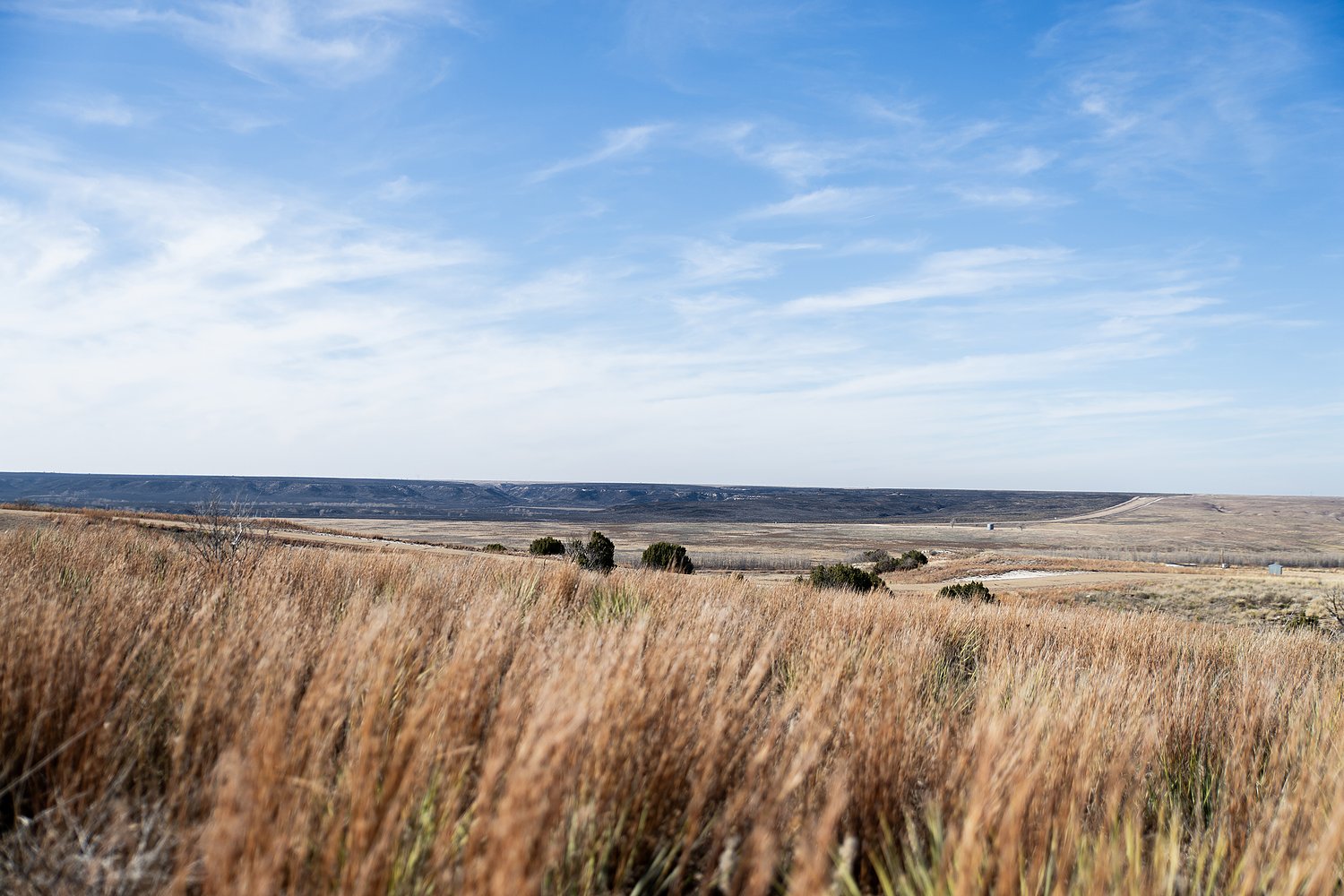 Texas Panhandle shaken by strongest earthquake to hit the region