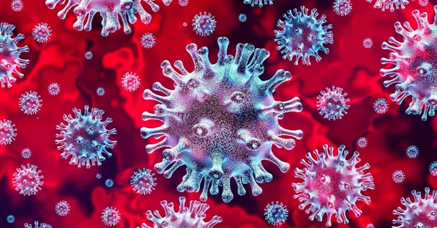 Chinese-linked journal editor sought help to rebut Covid-19 lab origin hypothesis
