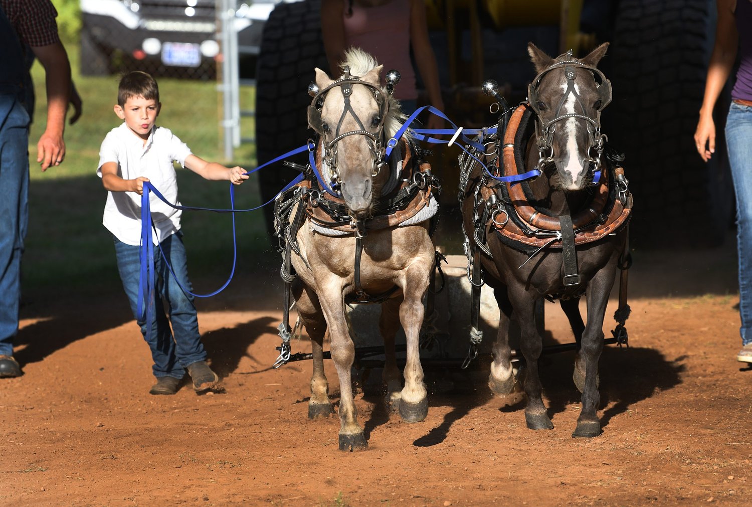 No Ferris wheels needed as Heath Fair celebrates 108 years of tradition