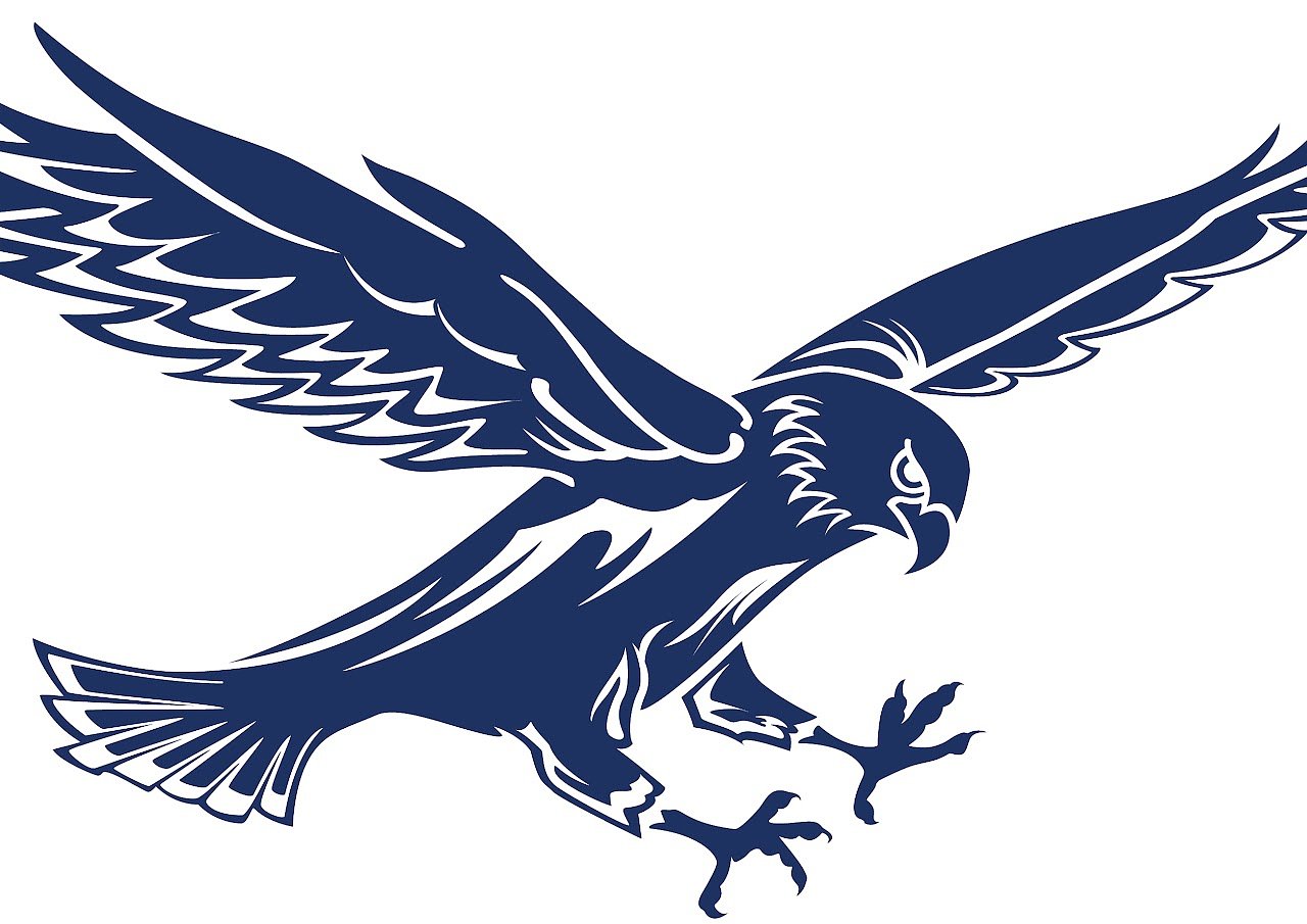 Mallory Banks has 14 assists in Hiawatha win: Wednesday’s Daily Chronicle sports roundup