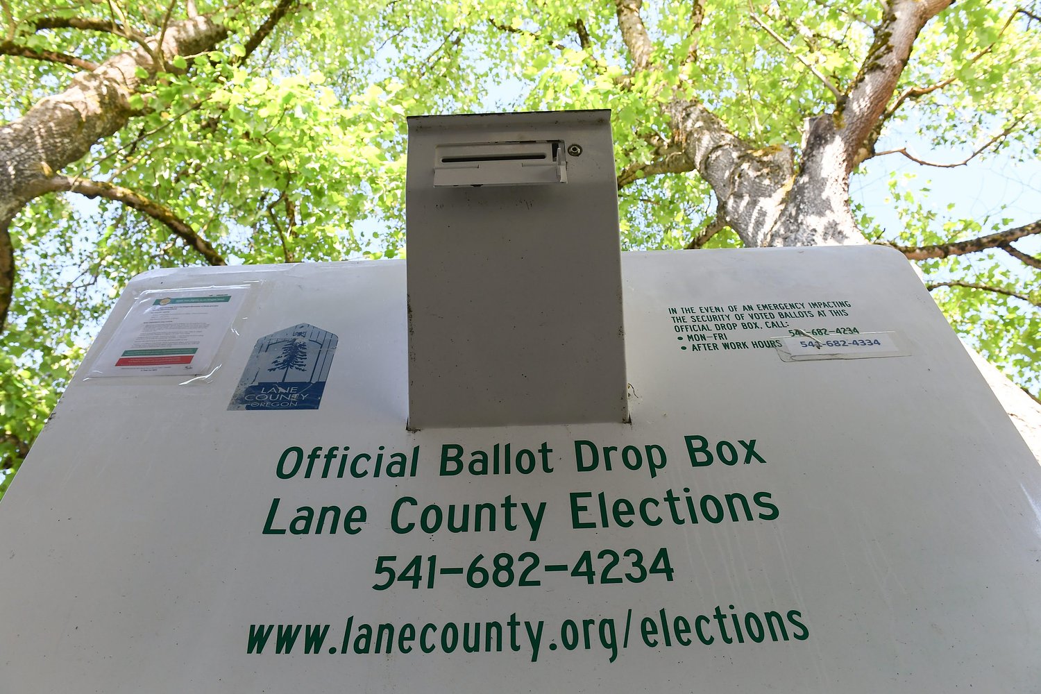 Two incumbents, two newcomers running for pair of Veneta City Council seats