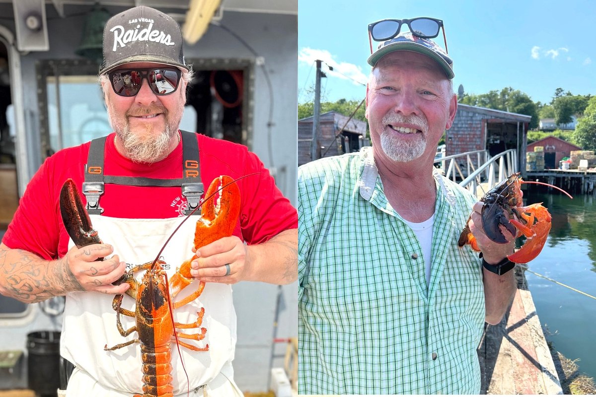 Mirror-image rare lobsters surprise veteran Maine fishermen