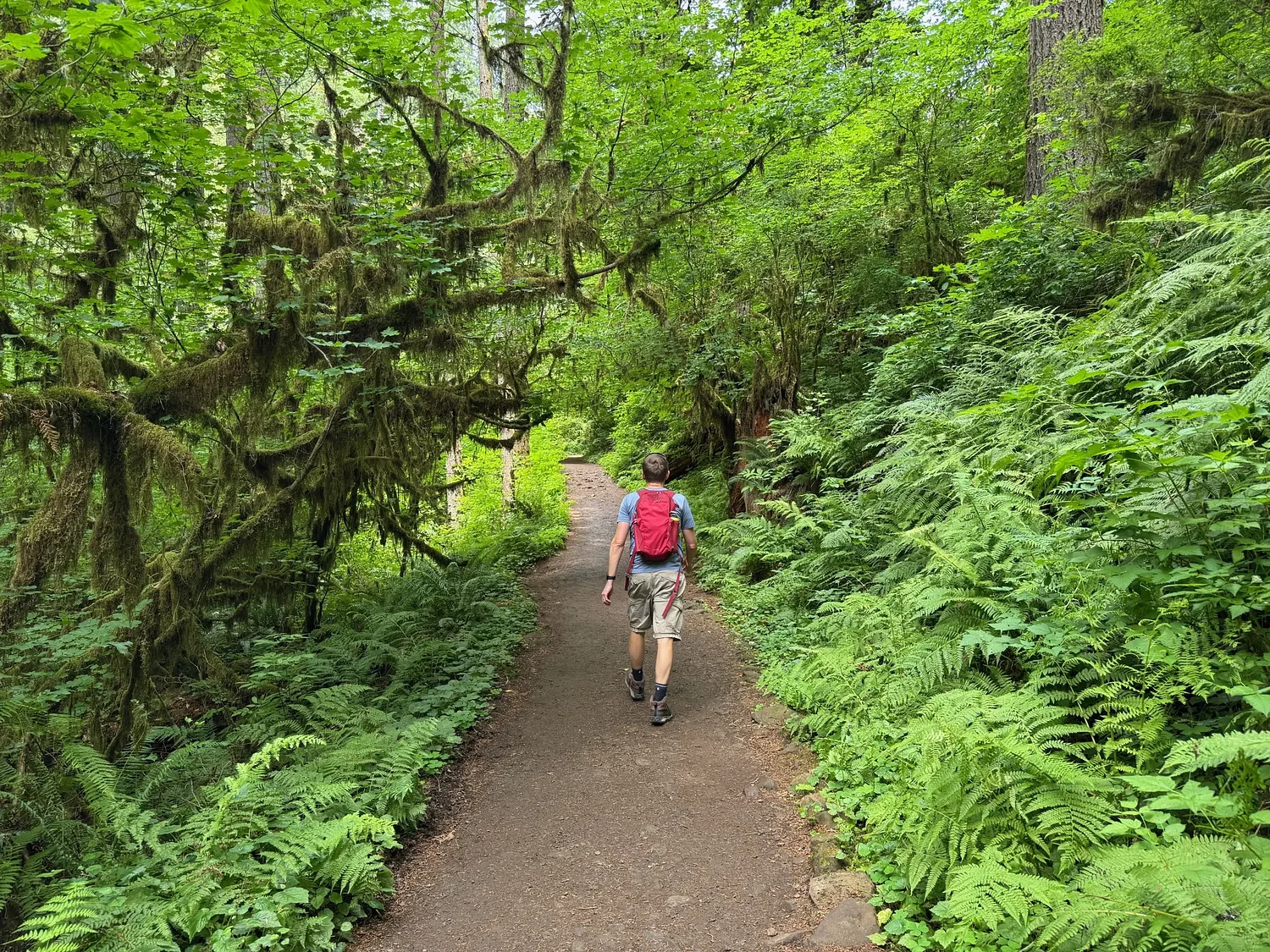 In a beauty contest, Oregon would take the crown