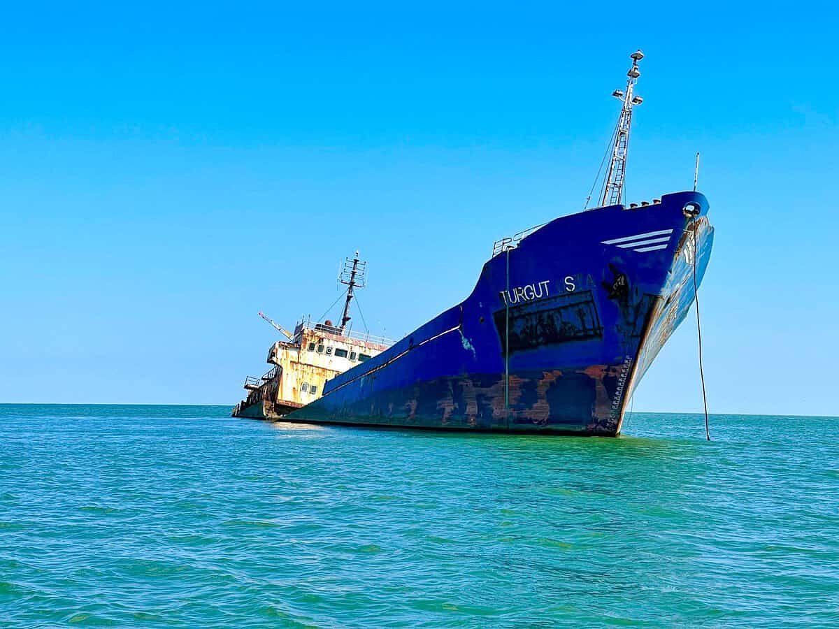 Epava uriașă din Delta Dunării, pe care o poți vedea într-o excursie cu barca, de la Tulcea