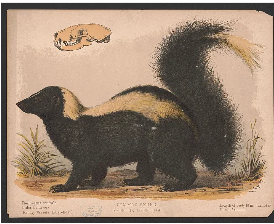 Vintage Views: Uncommonly interesting friends