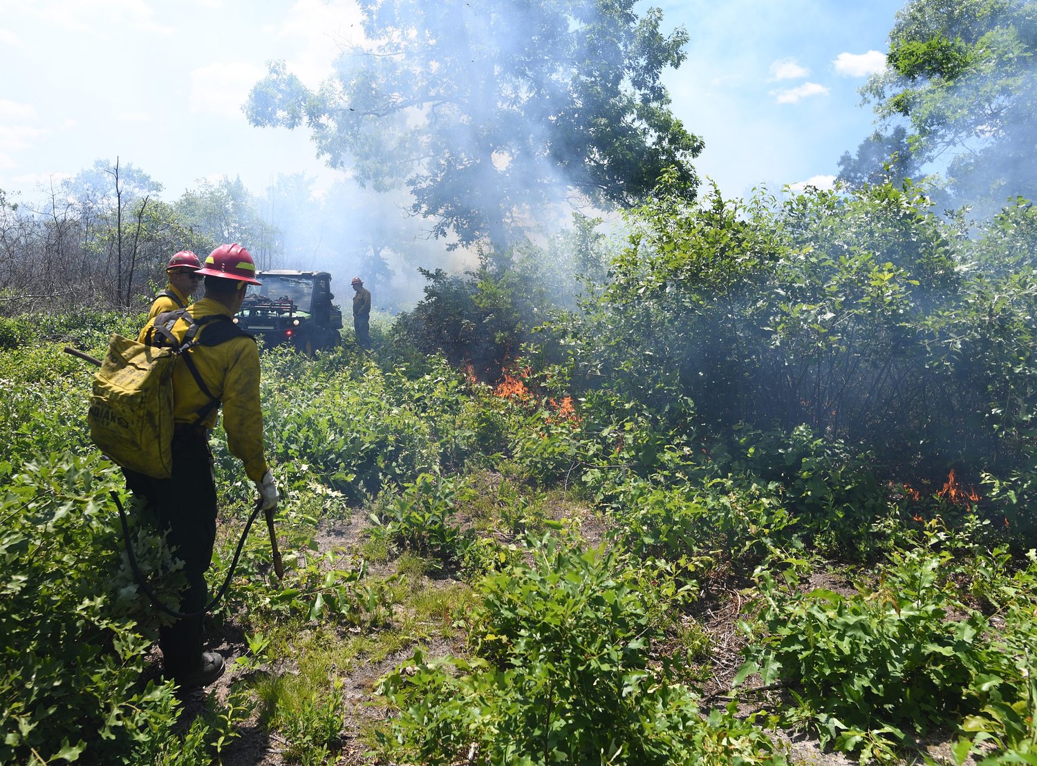 Environmental experts to talk prescribed burning in Saturday panel discussion, Montague Plains walk