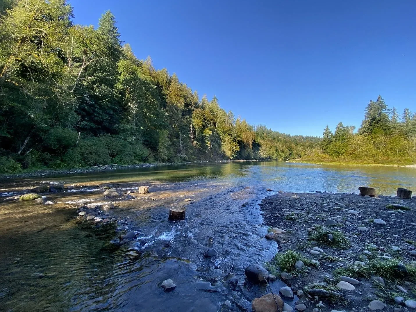 Hike McIver State Park, the site of Oregon’s 1970 state-sanctioned rock concert