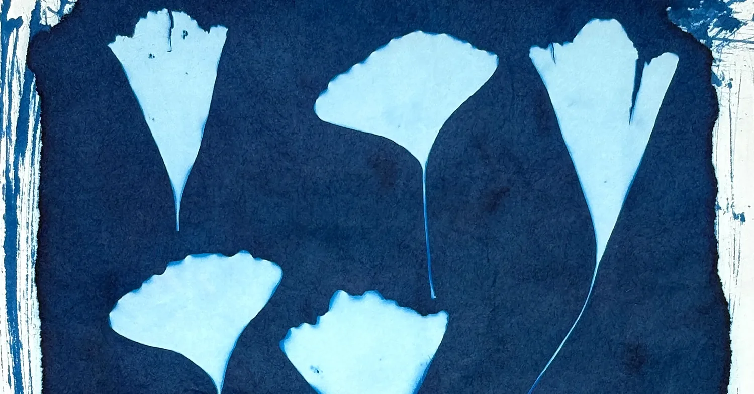 Arts briefs: A cyanotype workshop, 'Friendsgiving' concert and two local productions
