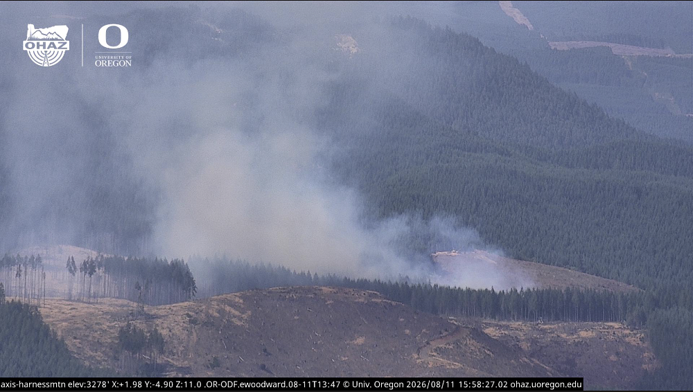 Firefighters race to contain active wildfire in hills south of Cottage Grove