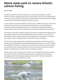 Maine seeks path to restore Atlantic salmon fishing