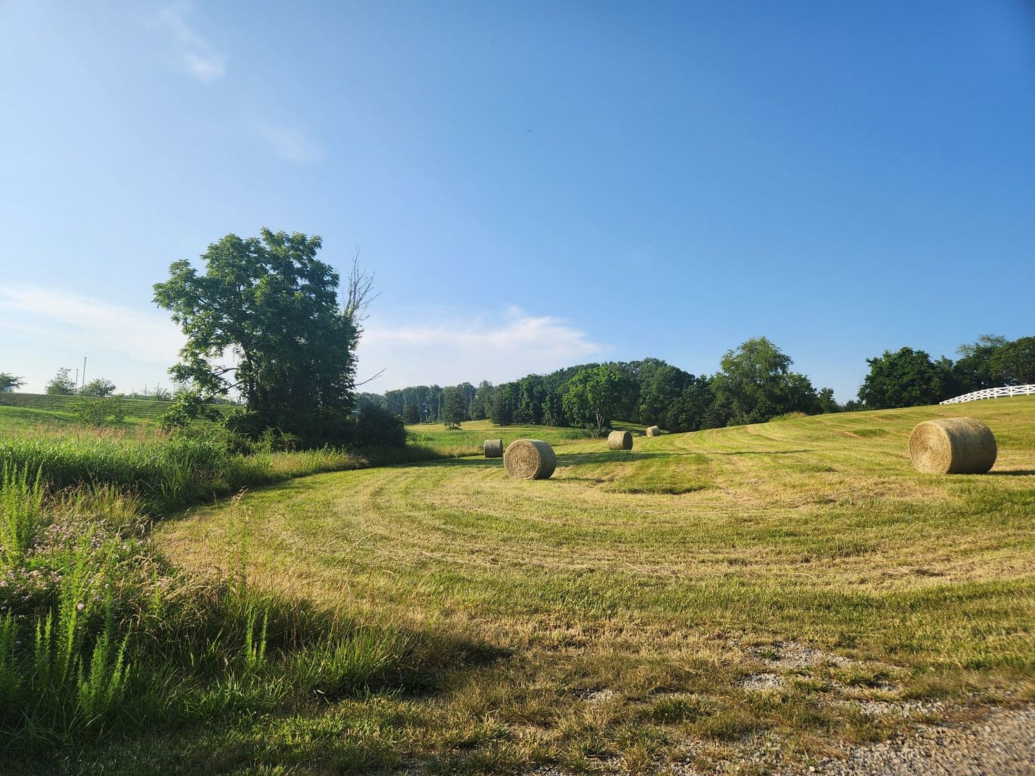 Google to use electric cooling instead of water in at least 1 of 3 data centers on Botetourt campus