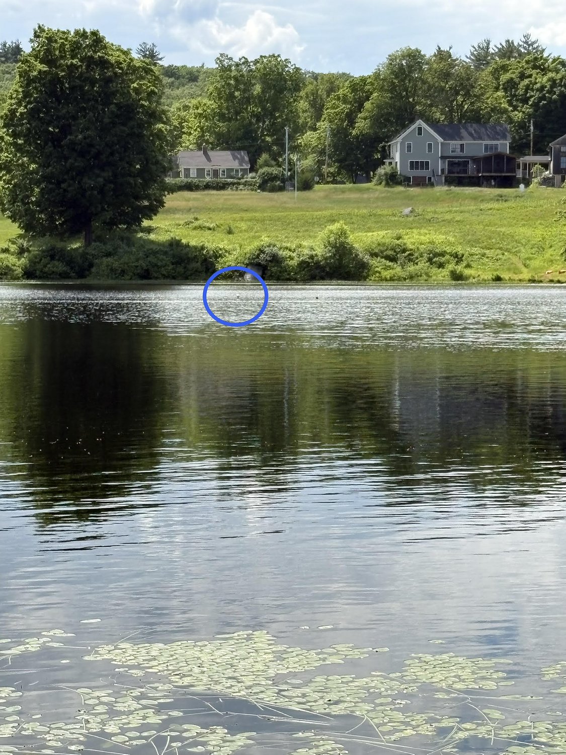 Water quality tests continue in Norway Pond over summer