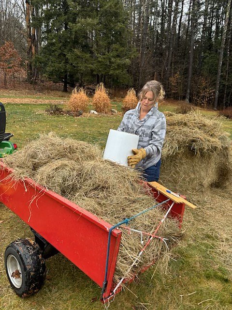 Getting the dirt on regenerative farming: How one Leyden family is cultivating the soil food web