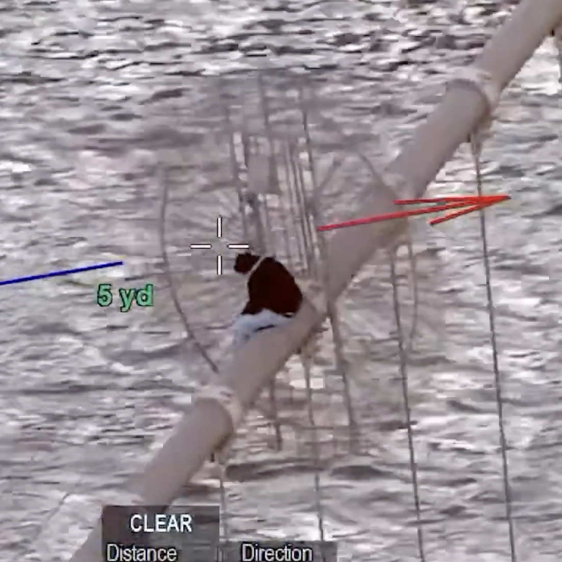 Body camera footage shows NYPD’s dramatic rescue on NYC’s Brooklyn Bridge
