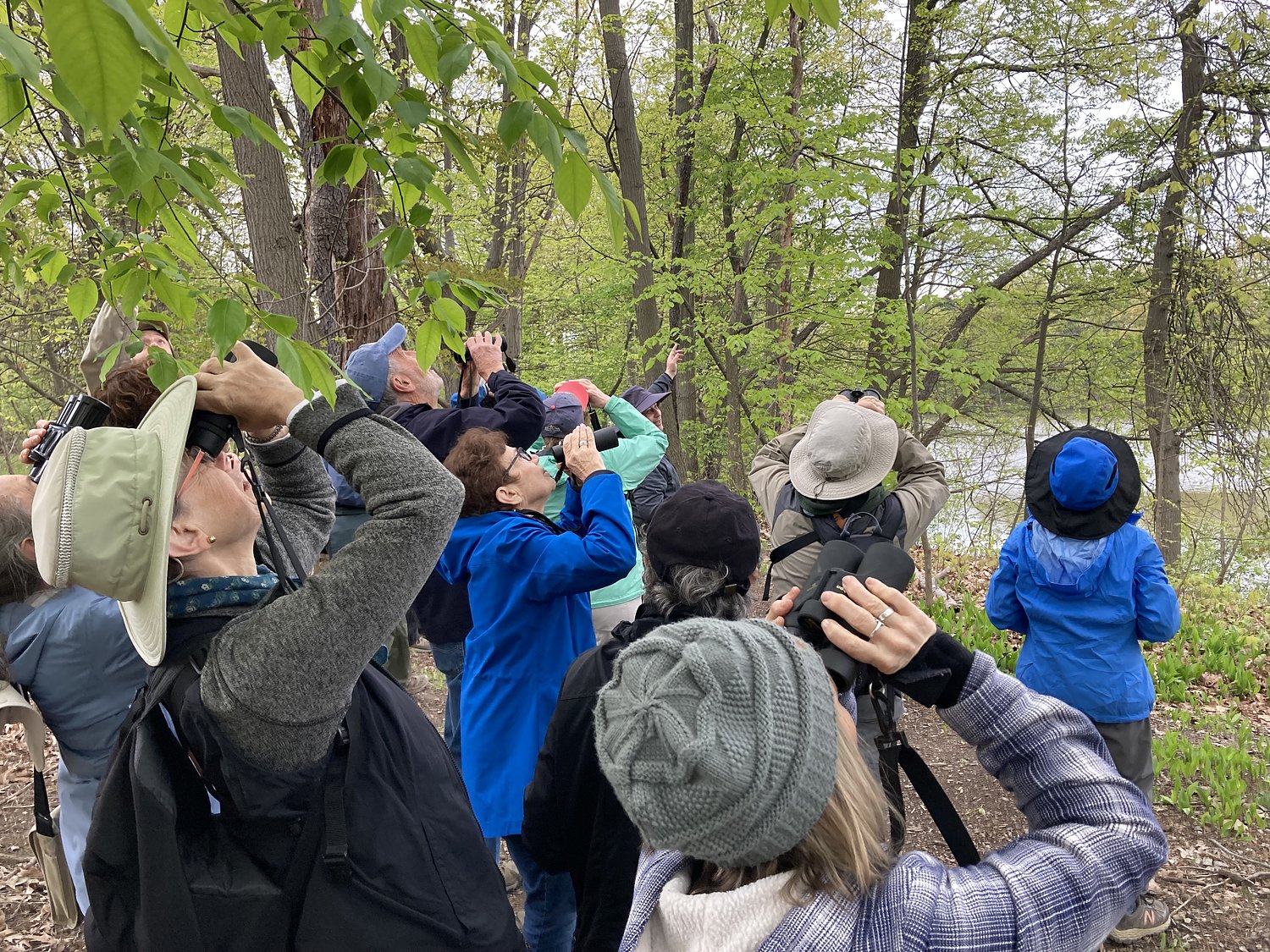 Lower Shaker Lake is worth preserving for its habitat, migration stop, refuge and beauty