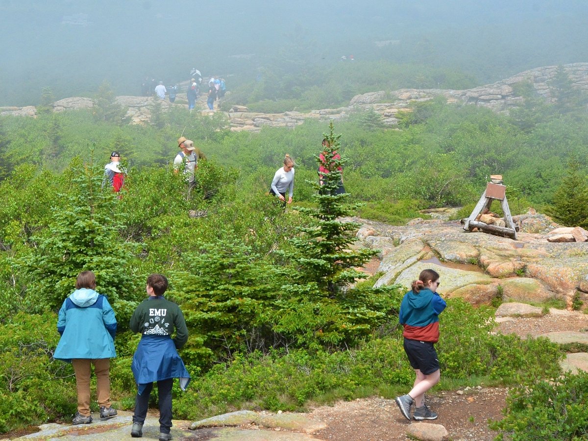 Road and parking improvements planned at Acadia amid surge in visitors