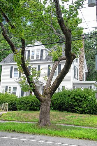Opinion: Are you a tree hugger?