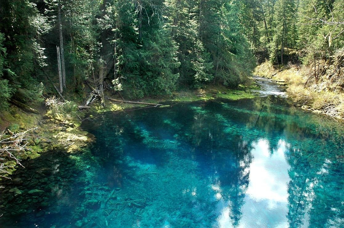 Officials identify person who drowned after jumping into Blue Pool