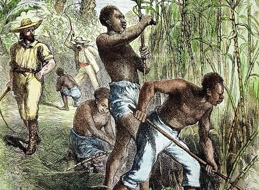 How slavery fueled elite status, wealth and influence