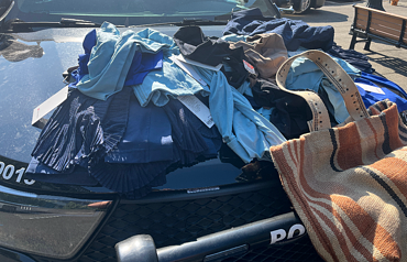 Accused shoplifter tied to 88 thefts and $115K in stolen goods held on $300K bond