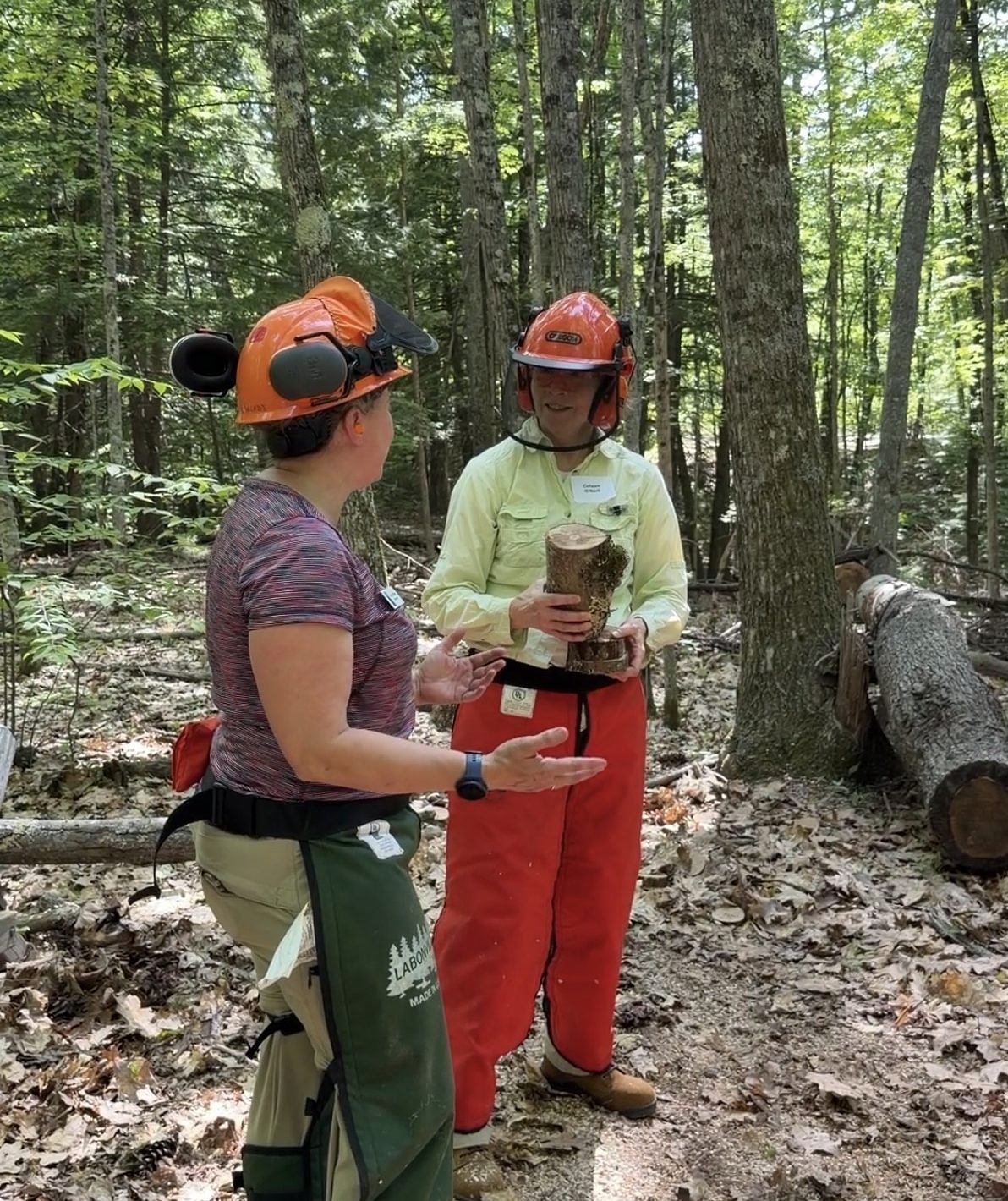 ‘They can ask anything’: Women sharpen their chainsaw skills, leave empowered