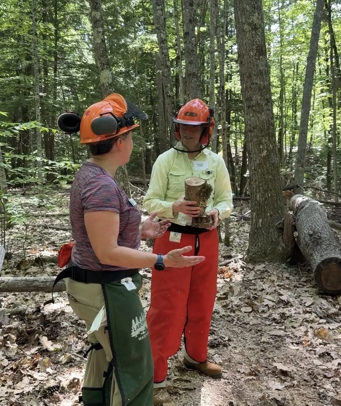 ‘They can ask anything’: Women sharpen their chainsaw skills, leave empowered