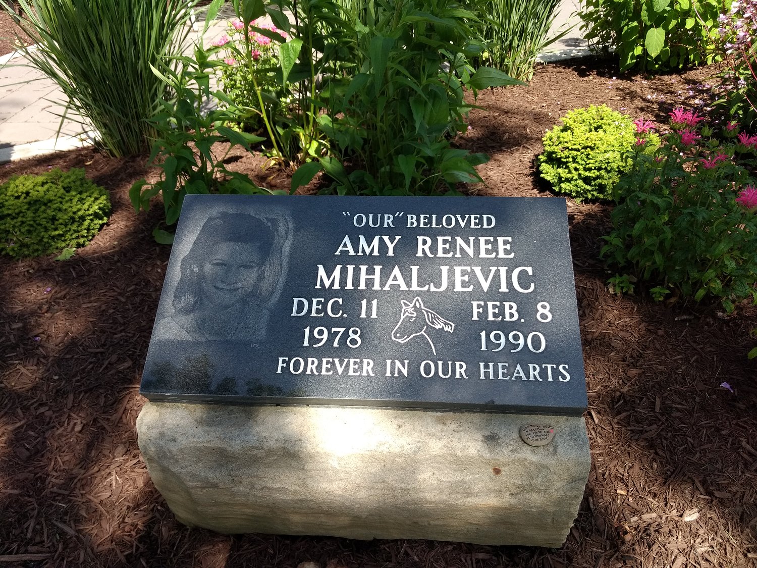 Amy Mihaljevic fund receives $10,000 donation from local car dealership