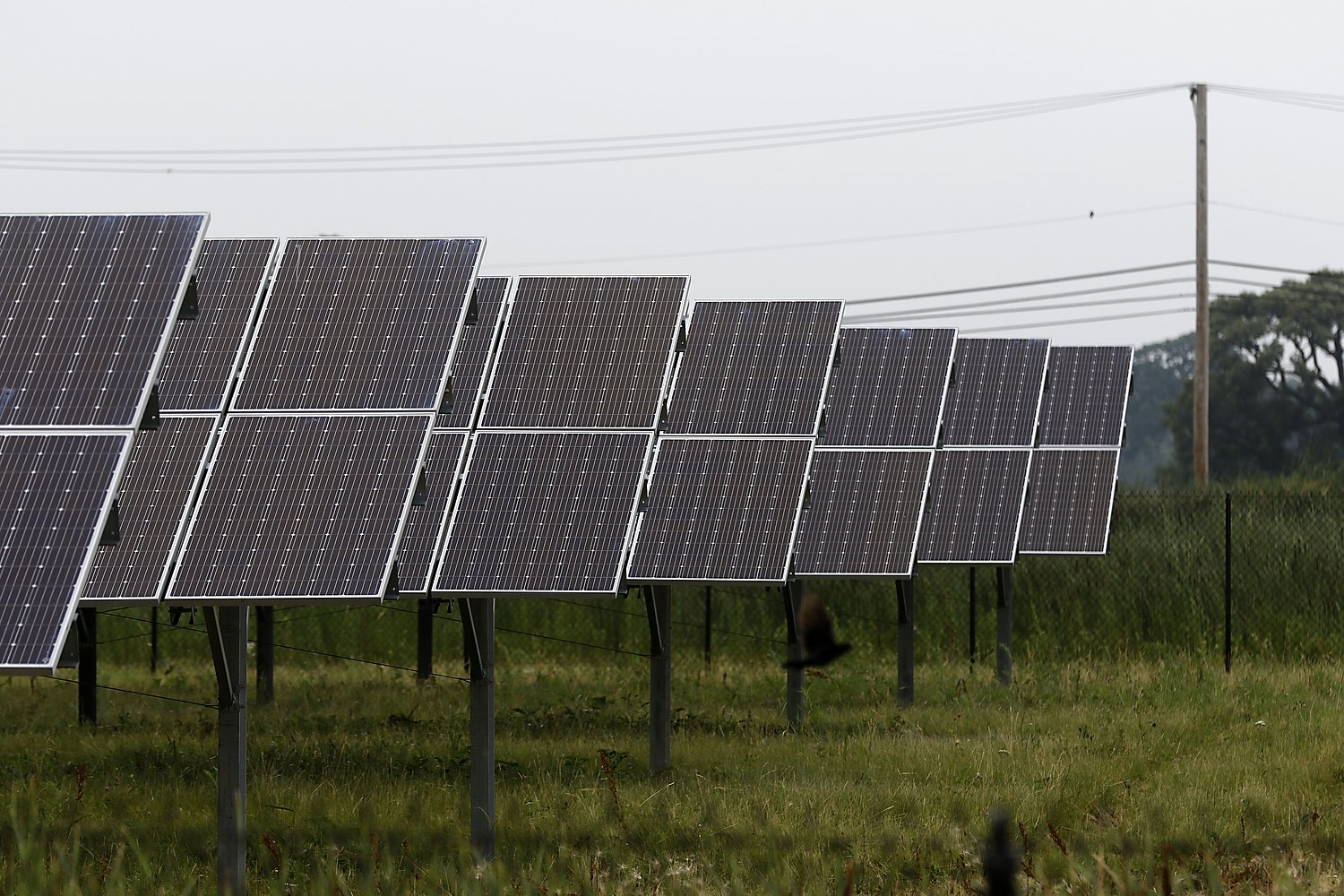 McHenry County Board OKs solar farms under order of court: ‘My vote has been co-opted’