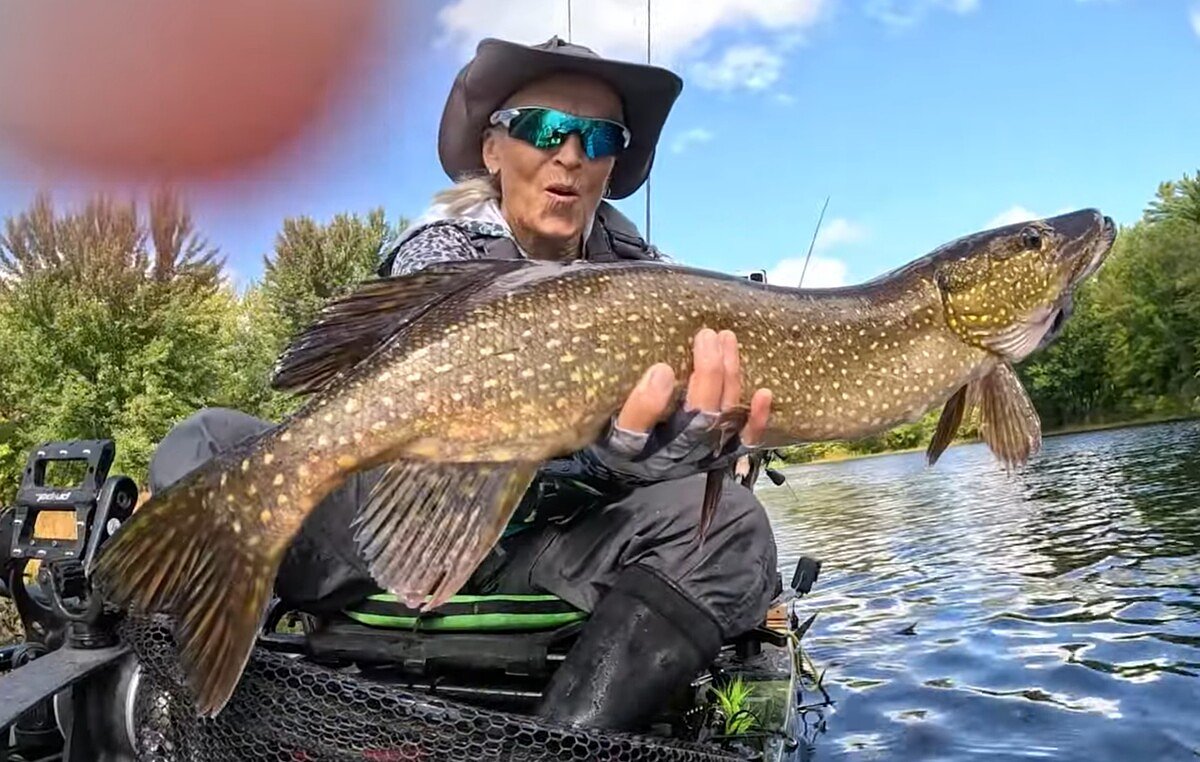 Who is ‘Old Lady Angler,’ and what is she doing in Maine?