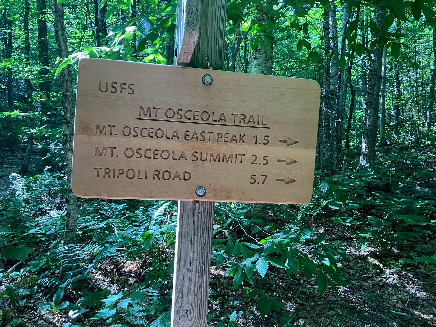 Robert Beck – Outdoors in New England: Hiking East Osceola