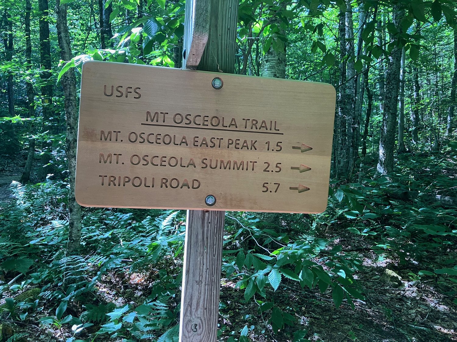 Robert Beck – Outdoors in New England: Hiking East Osceola