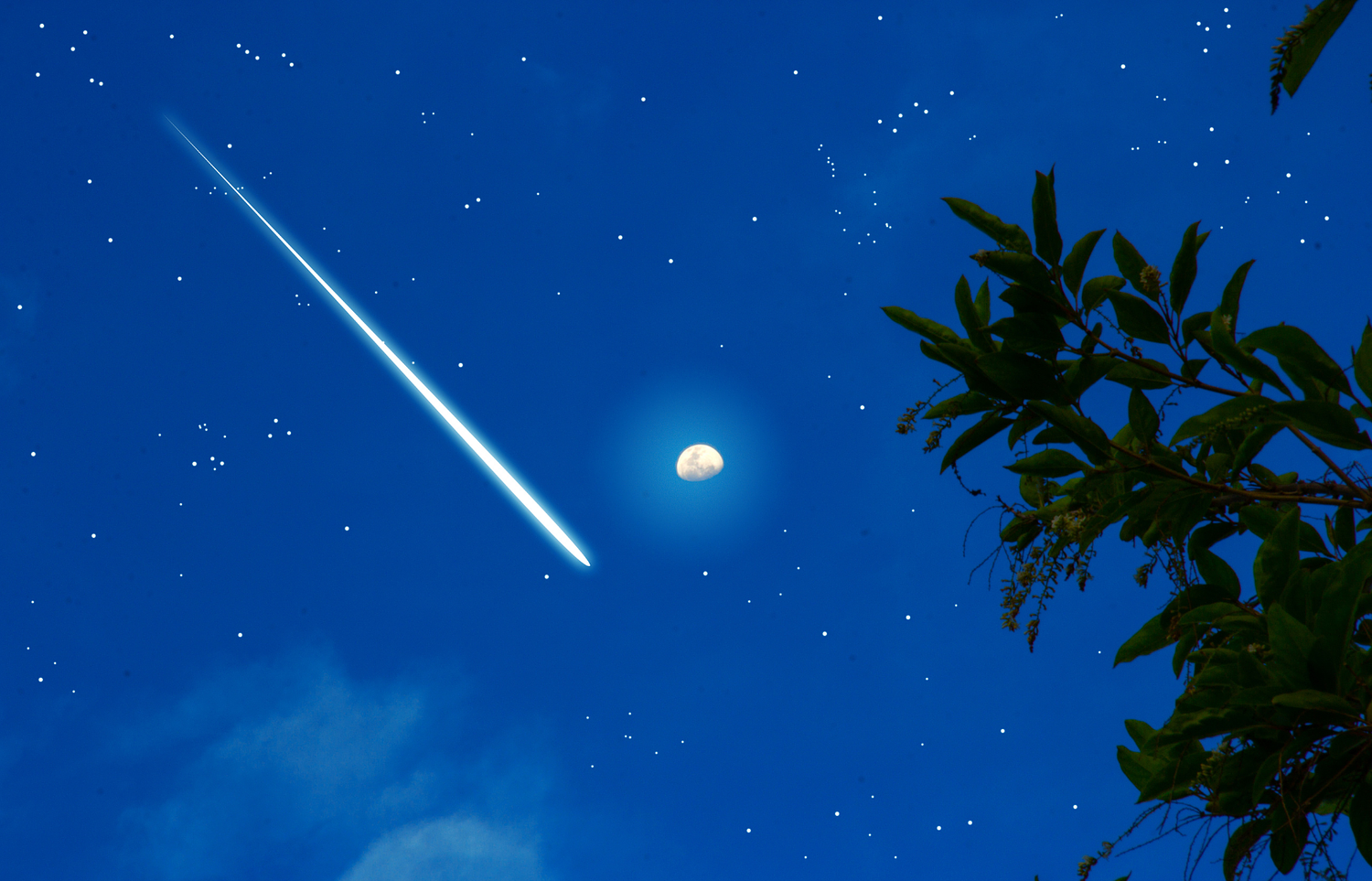 October meteor shower to peak tonight, thanks to Halley’s Comet