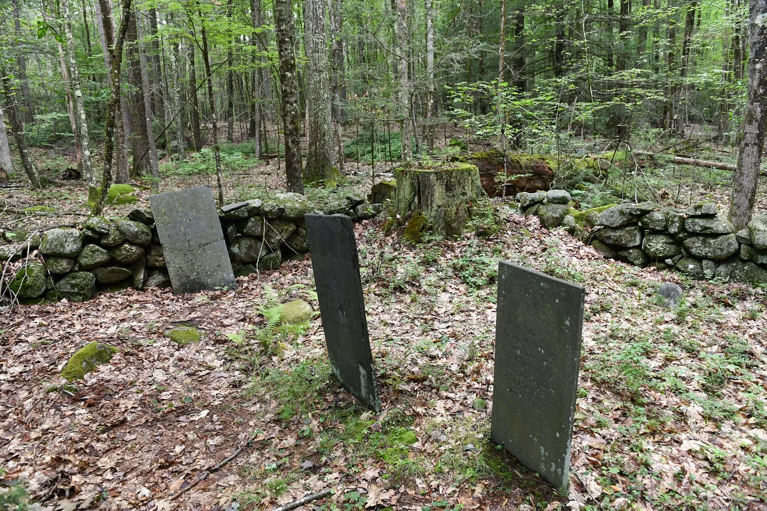 Ownership quandary complicates Wendell smallpox cemetery preservation push