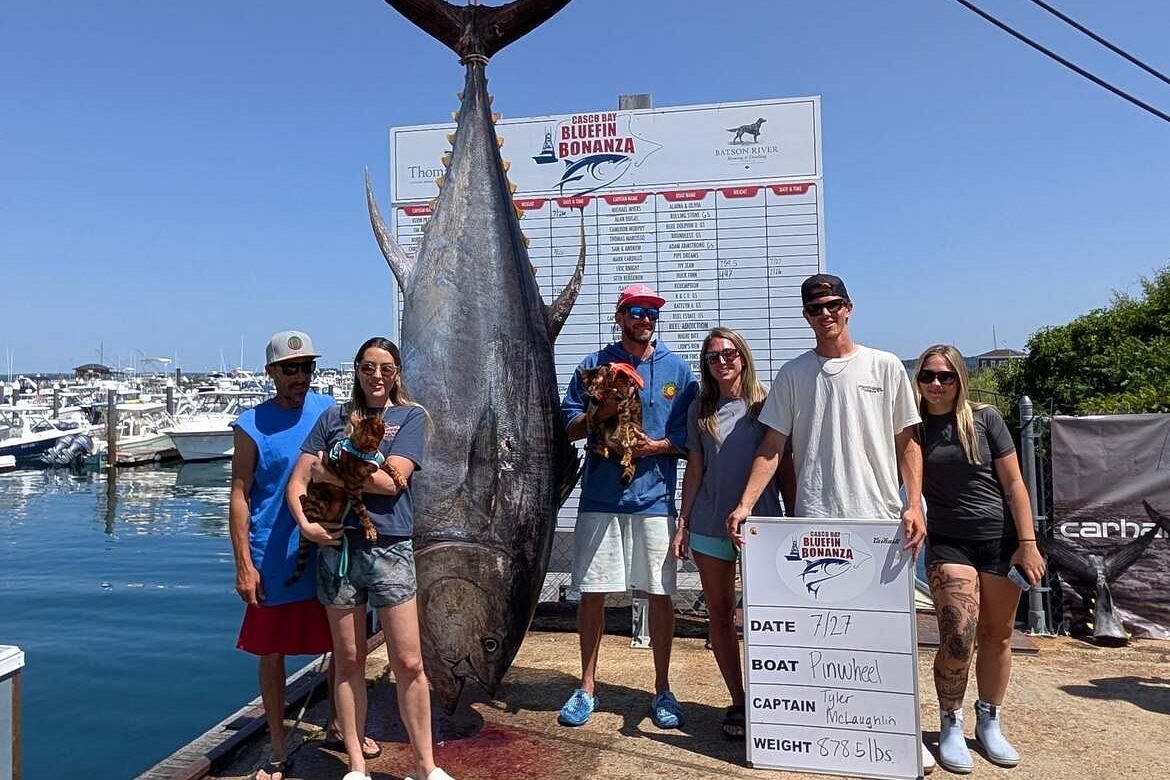 Over 15,000 pounds of tuna landed in Maine this week