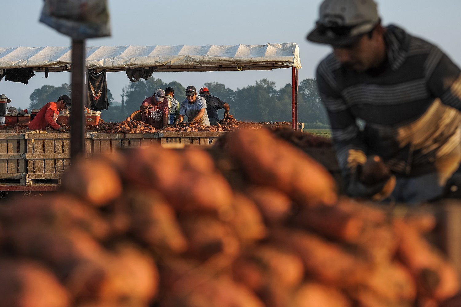 Farm worker, 24, dies of heat exposure in North Mississippi