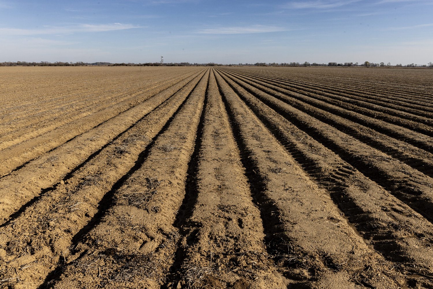 Farm worker, 24, dies of heat exposure in North Mississippi