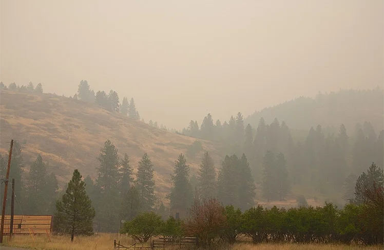 Wildfire Smoke Poses Greater Health Risks For Washington's Most Vulnerable Communities