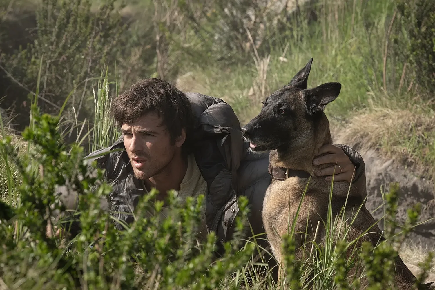 'The Dog Stars' review: Ridley Scott's postapocalyptic drama falls short