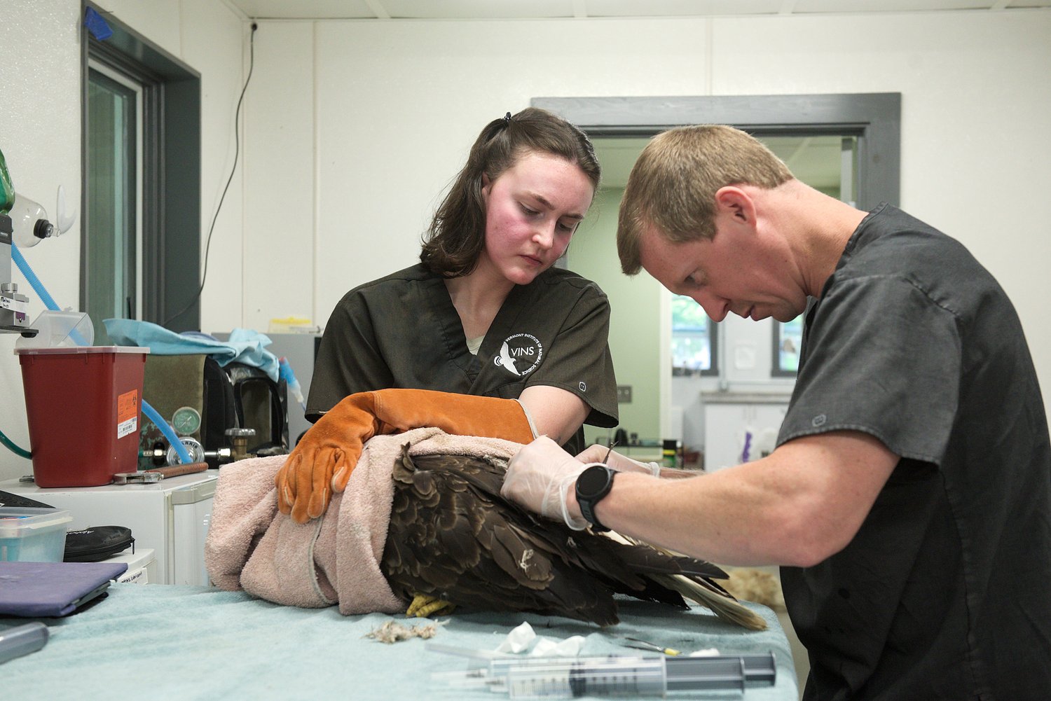 From bird nursing to ski lifts, seasonal work offers new paths for young and old