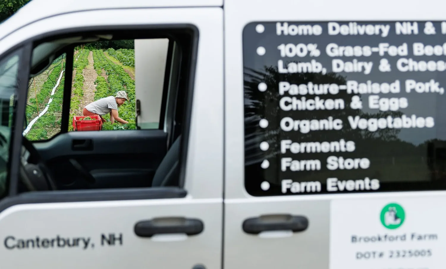 Common Ground: Shepherd dogs, children and parent co-founders make Brookford Farm a family enterprise