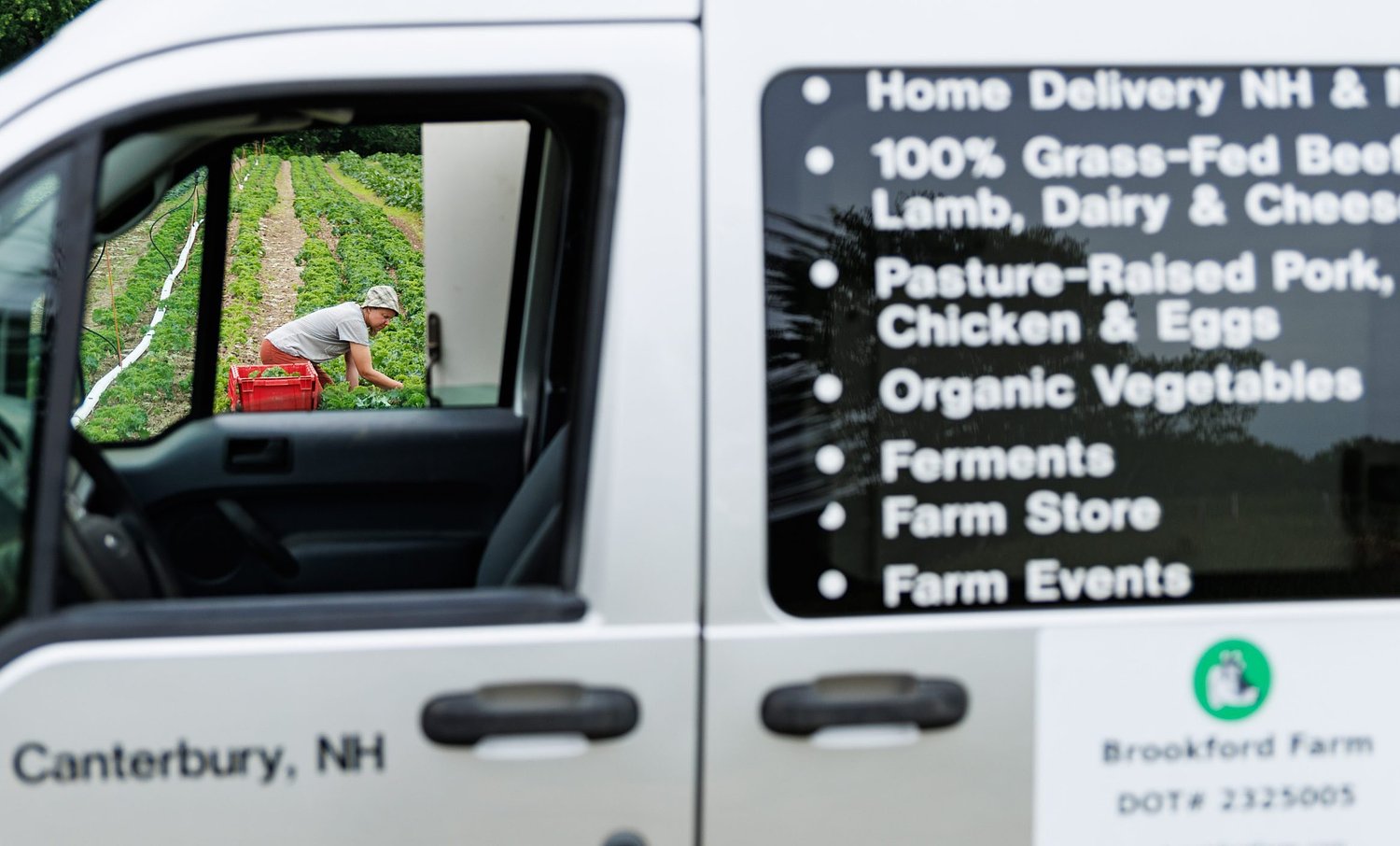 Common Ground: Shepherd dogs, children and parent co-founders make Brookford Farm a family enterprise