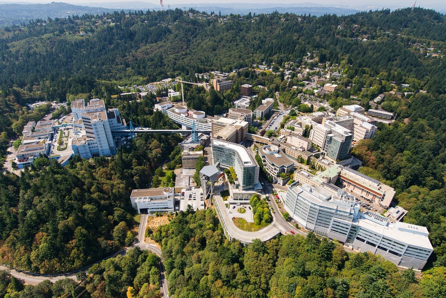 Oregon public universities expect Trump changes to graduate student loans will hurt enrollment