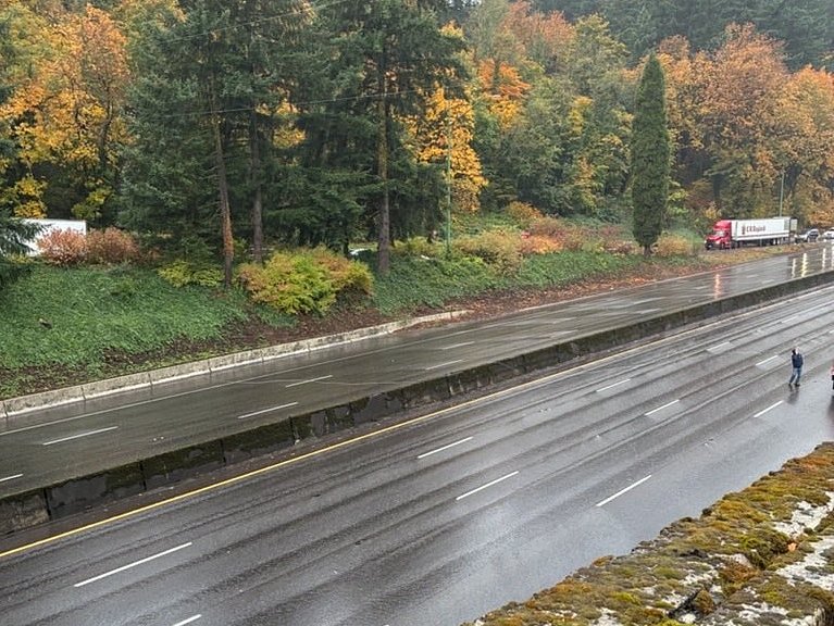 Downed power lines briefly shut down U.S. 26 near Oregon Zoo