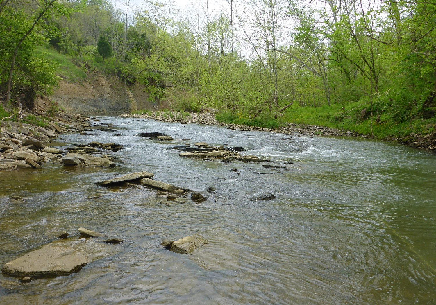 Boone County judge/executive sends letter asking SD1 to explain sewer route through Pille property