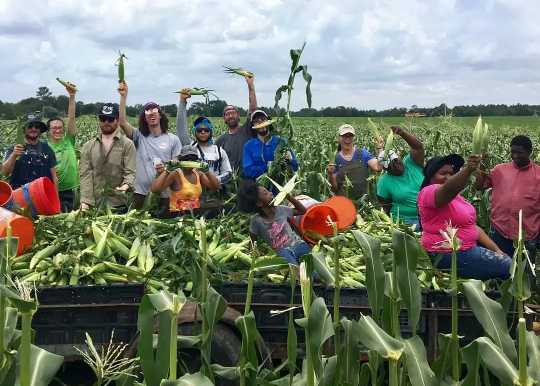 Concrete Jungle fights food insecurity by rescuing surplus produce