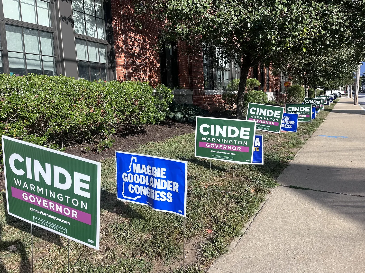 From the polls: Voters weigh 'electability' in primary