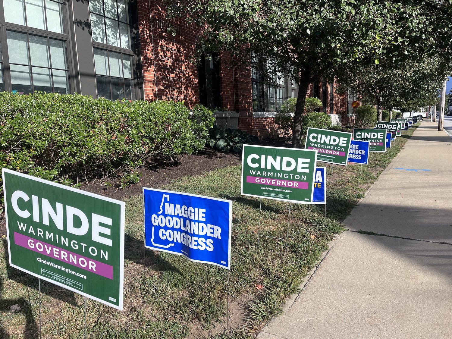 From the polls: Voters weigh 'electability' in primary