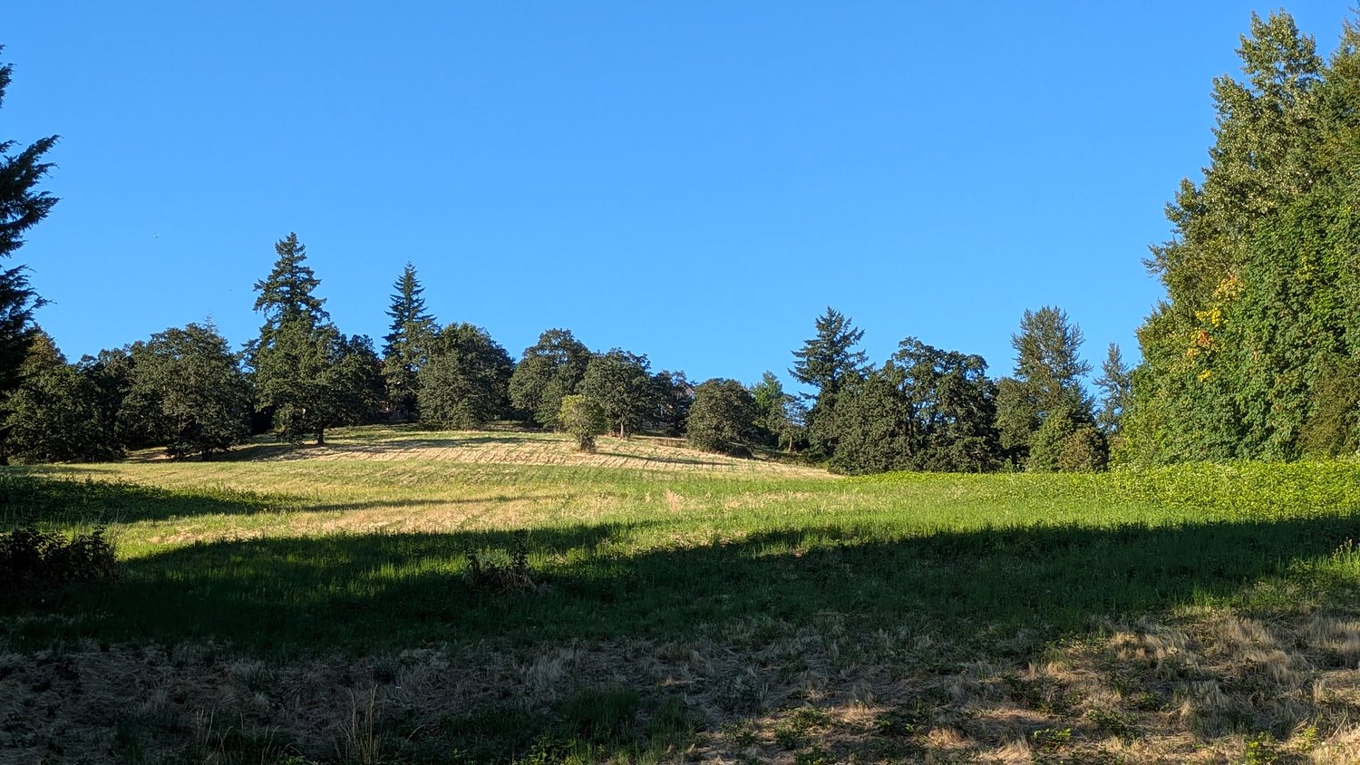 West Linn says it will allow testimony on retail, not housing, in 320-unit proposal