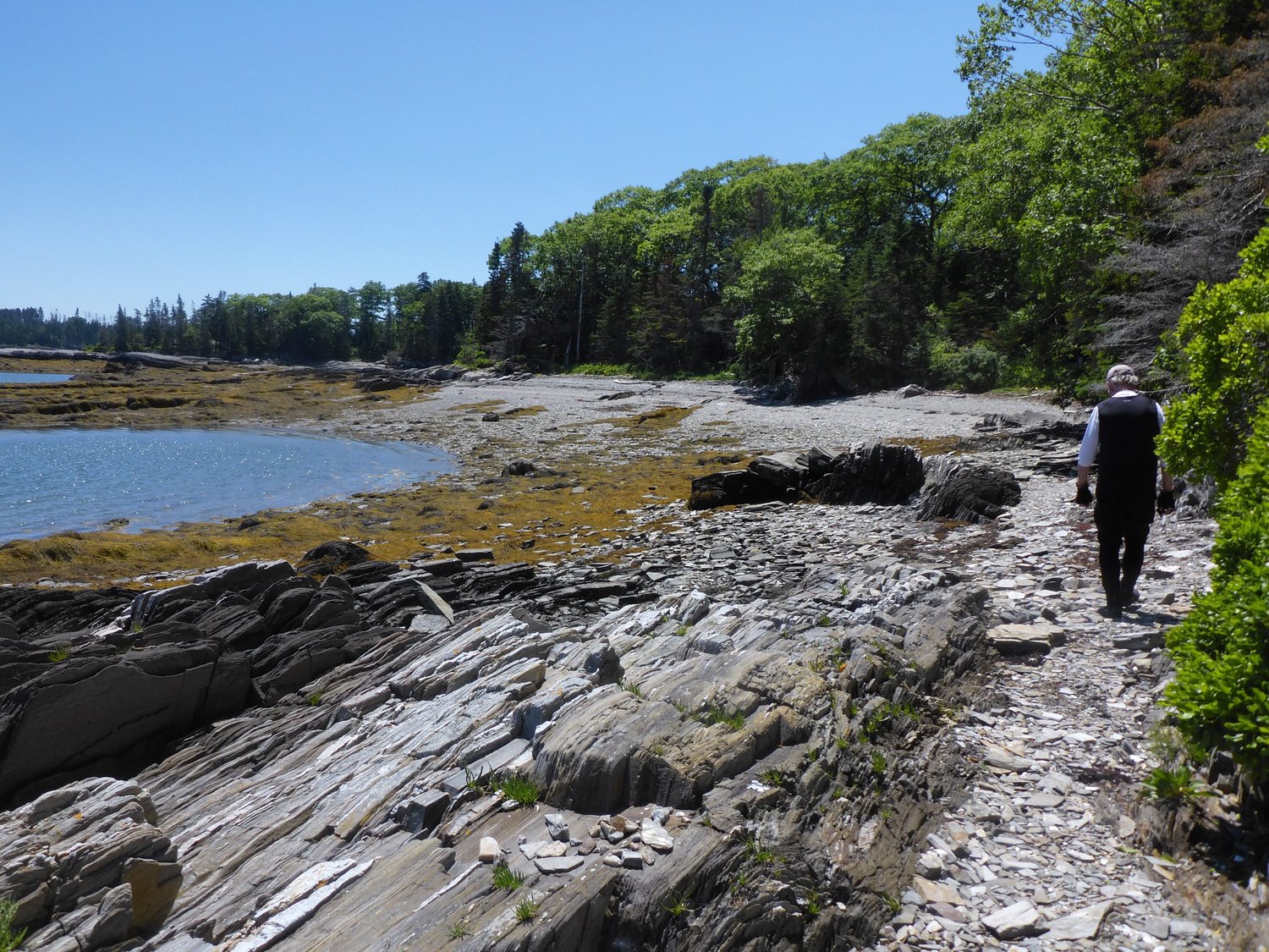 Sea kayakers can visit this midcoast island for swimming, hiking and a picnic
