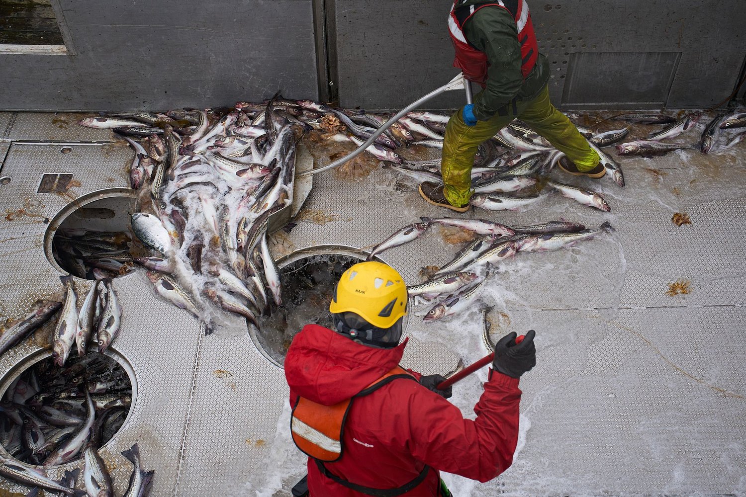 Trawl fishing catches huge amounts of seafood. It also devastates the seafloor